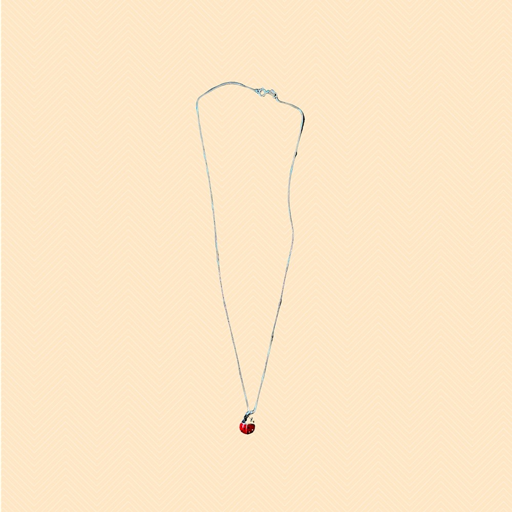Sterling Silver Chain with Ladybug pendant